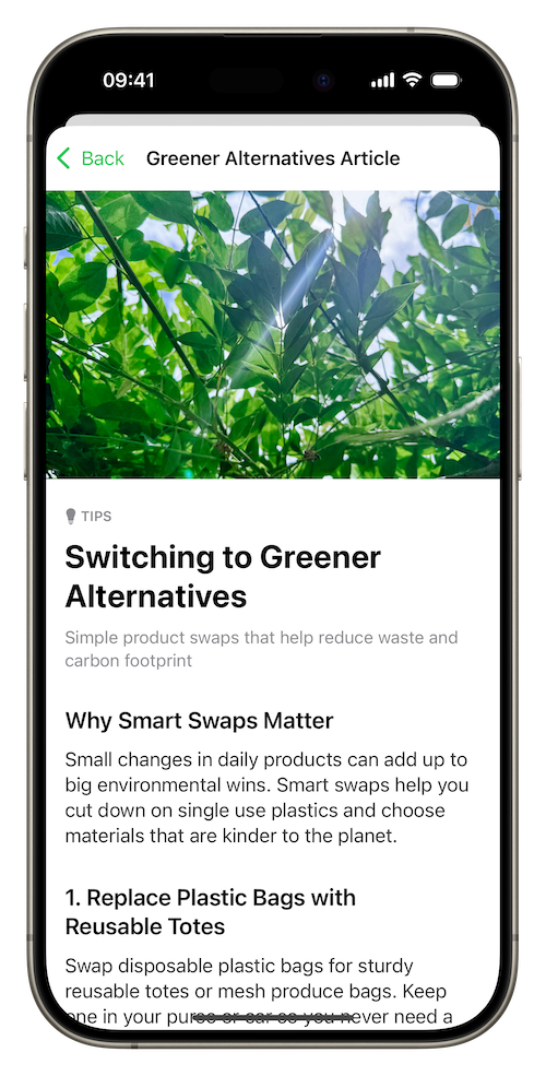 Article detail view about greener alternatives